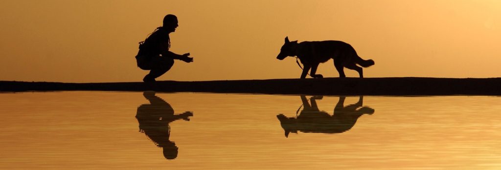 Risk causes business sales failure